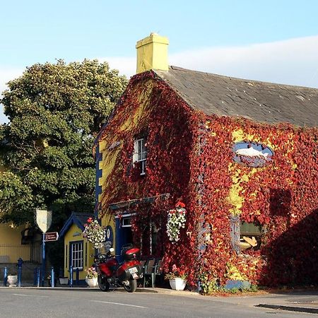 Kingfisher Lodge & Pub Castleconnell Экстерьер фото