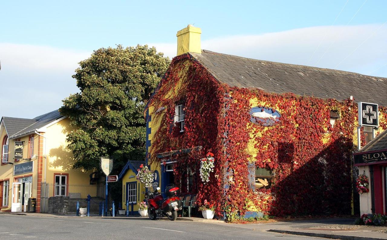 Kingfisher Lodge & Pub Castleconnell Экстерьер фото